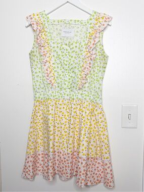 The Shirt by Rochelle Behrens Fruit Print Stella Mini Dress